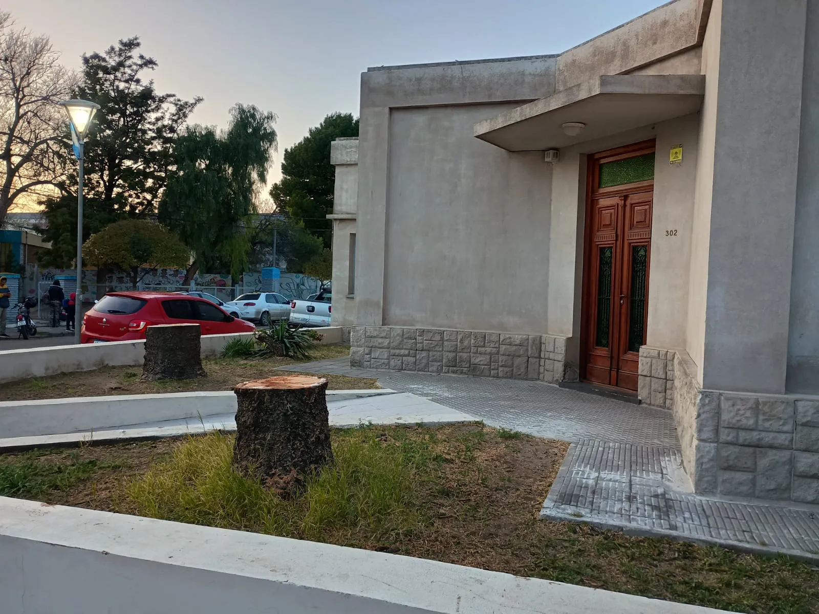 ARBOLES, TALA, VIEDMA