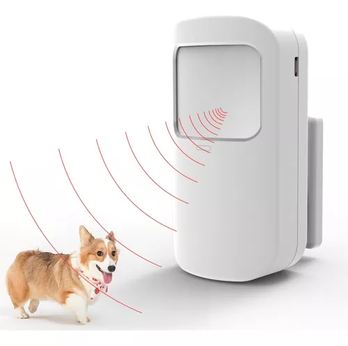 PERRO, ALARMA