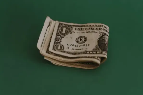 DOLARES