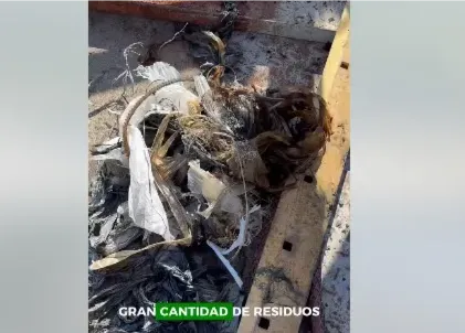 BOULEVARD ITUZAINGO, BOMBA, RESIDUOS, BASURA
