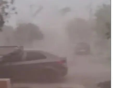 TEMPORAL, VIEDMA