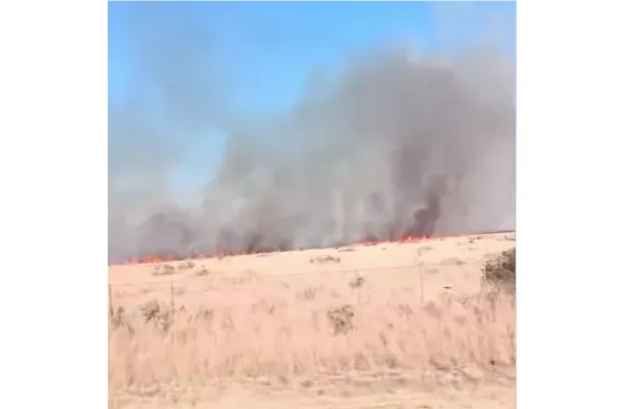 INCENDIO CAMPOS RUTA 1