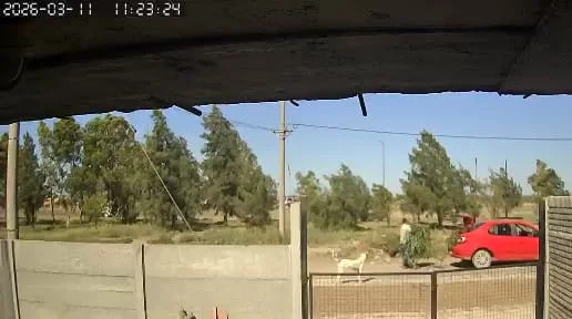 BARRIO SANTA CLARA VECINO BASURA RESIDUOS