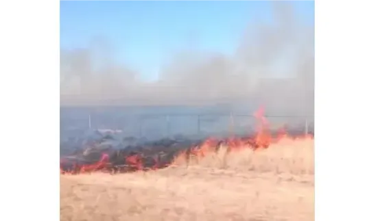 INCENDIO CAMPOS RUTA 1