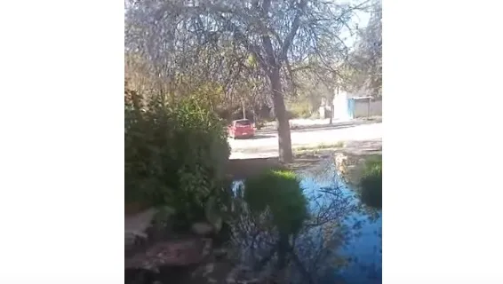 DESBORDE CLOACAL EN EL BARRIO GUIDO