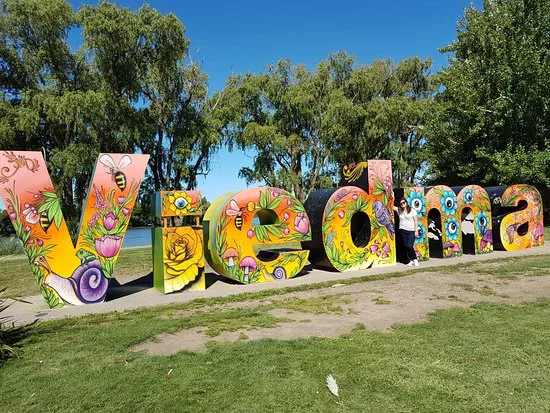 VIEDMA - CARTEL