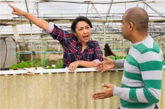 Captura de pantalla -2025-03-18 15-18-21