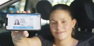 CEDULA DE CONDUCIR VIRTUAL