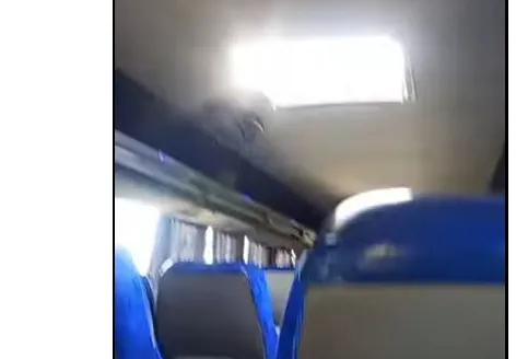 COLECTIVO, SALIDA DE EMERGENCIA