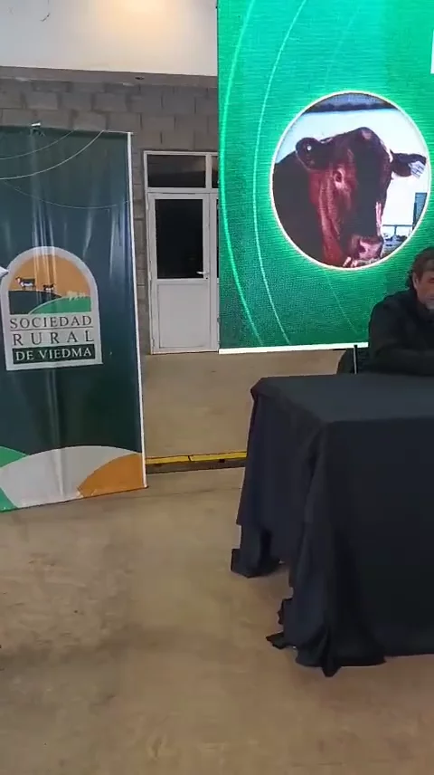 WhatsApp Video 2026-08-05 at 10.26.57 AM