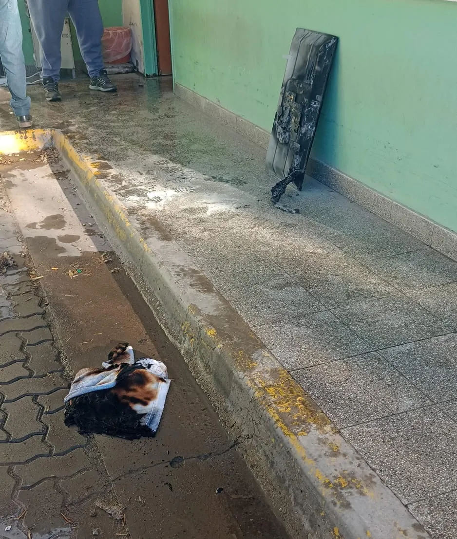 imagen_2025-06-05_101214244