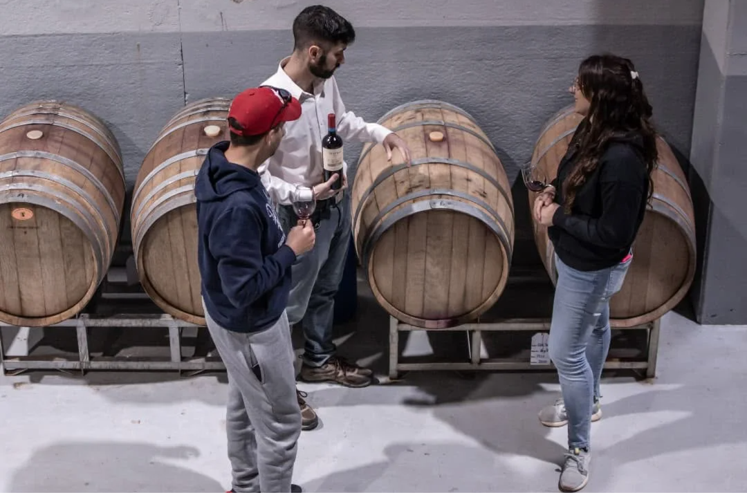 VIEDMA BODEGA