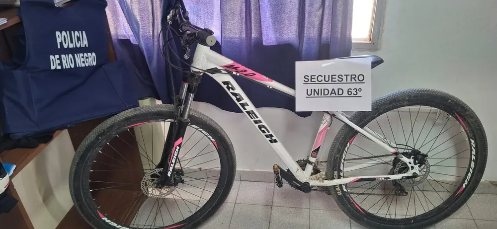 BICICLETA RECUPERADA VIEDMA
