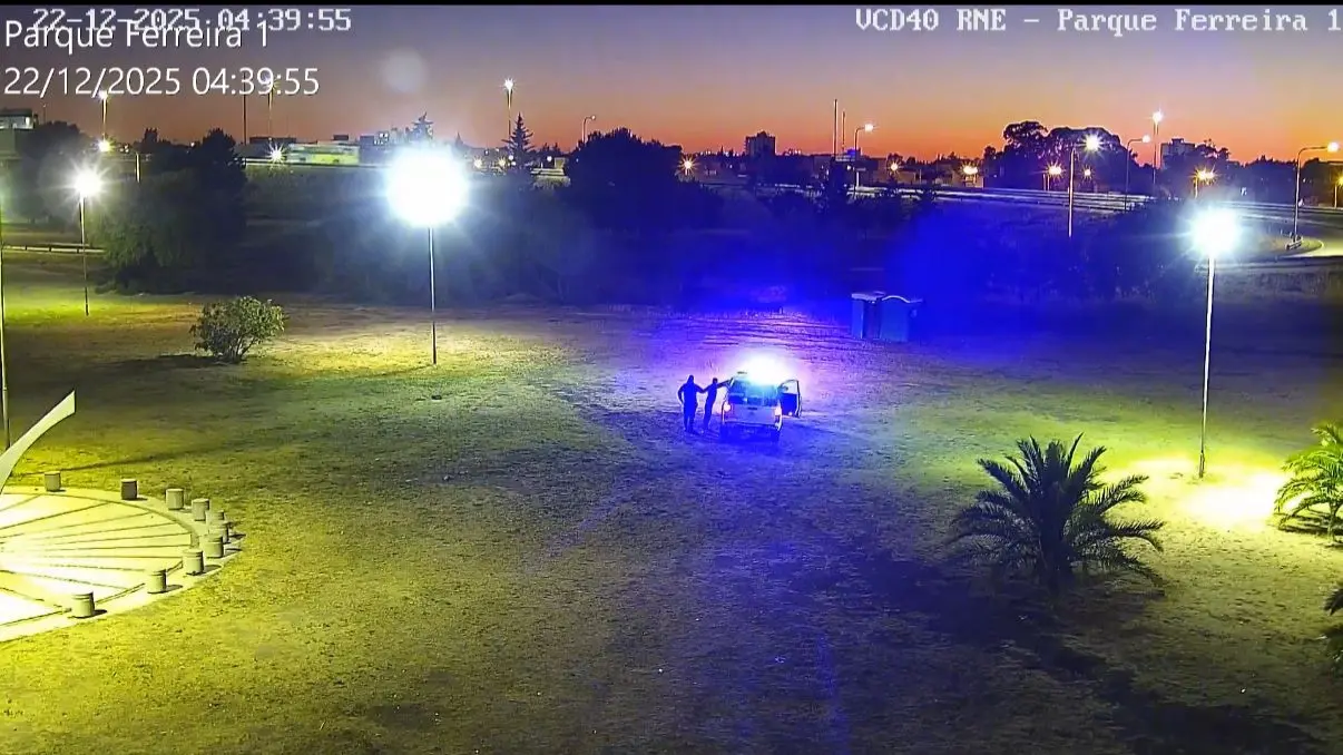 VIEDMA 911