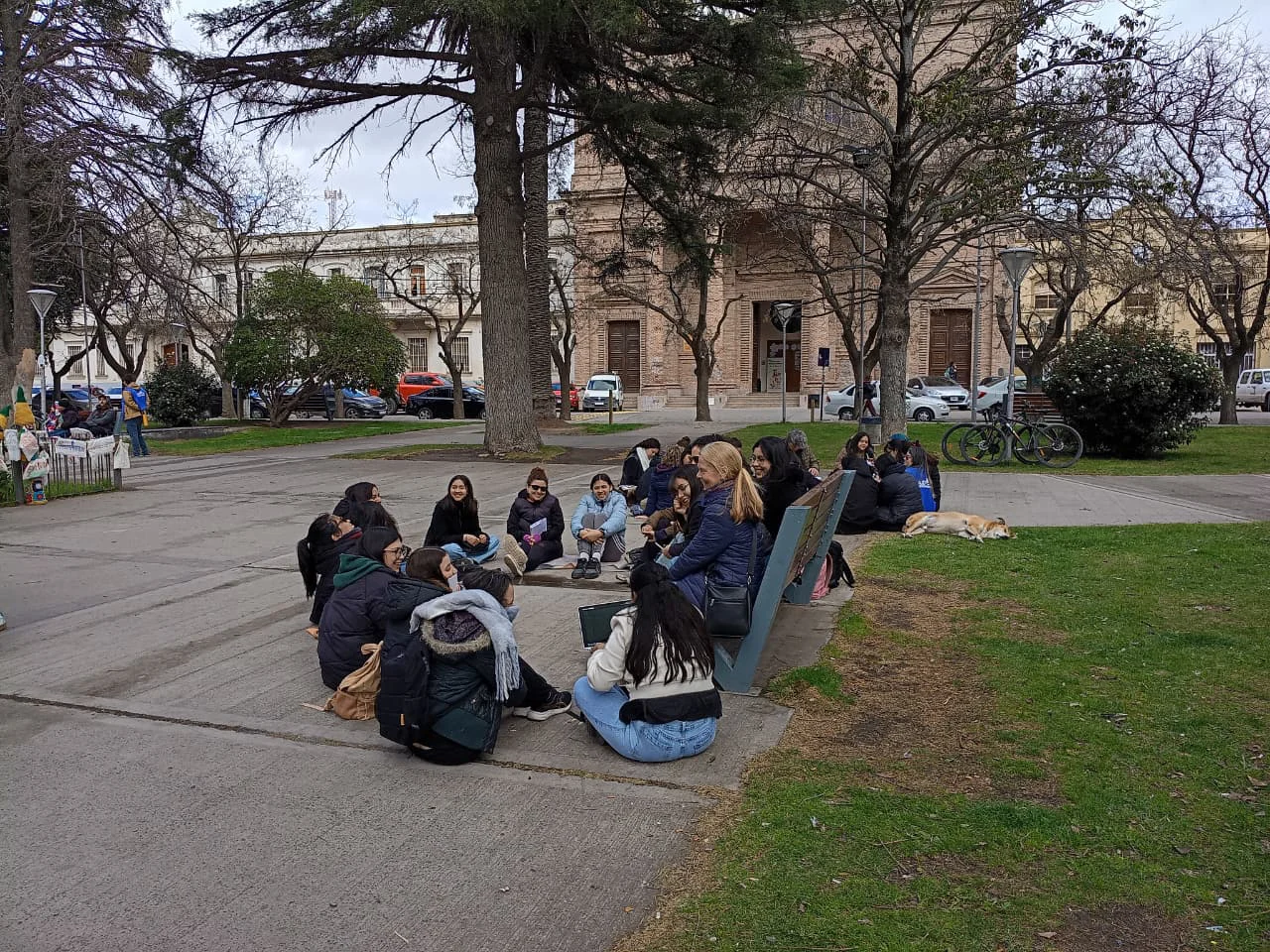 CLASES PUBLICAS UNIVERSITARIAS VIEDMA