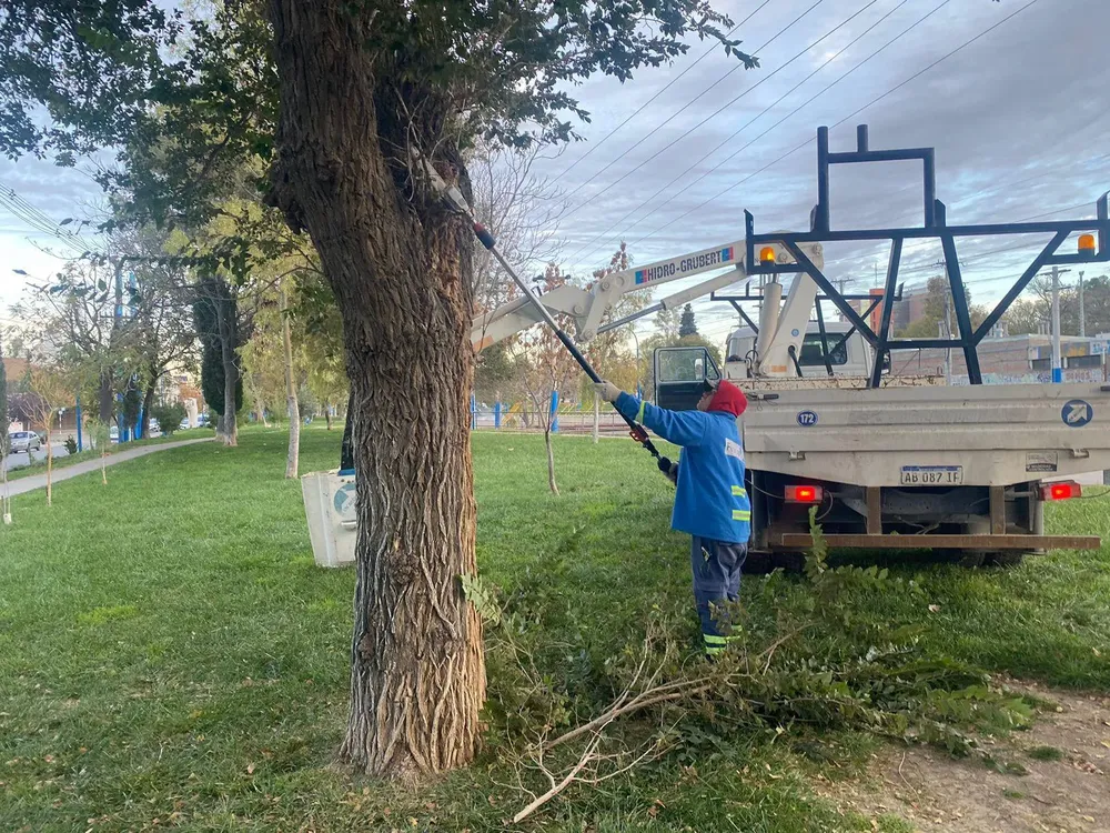 SERVICIOS PUBLICOS (1)