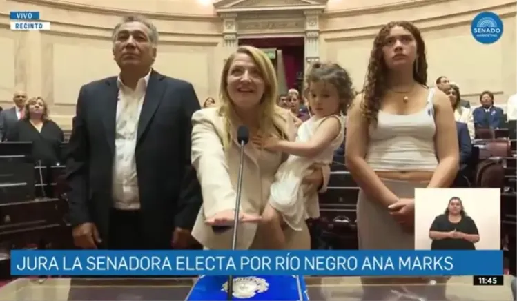 ANA MARKS JURA SENADO