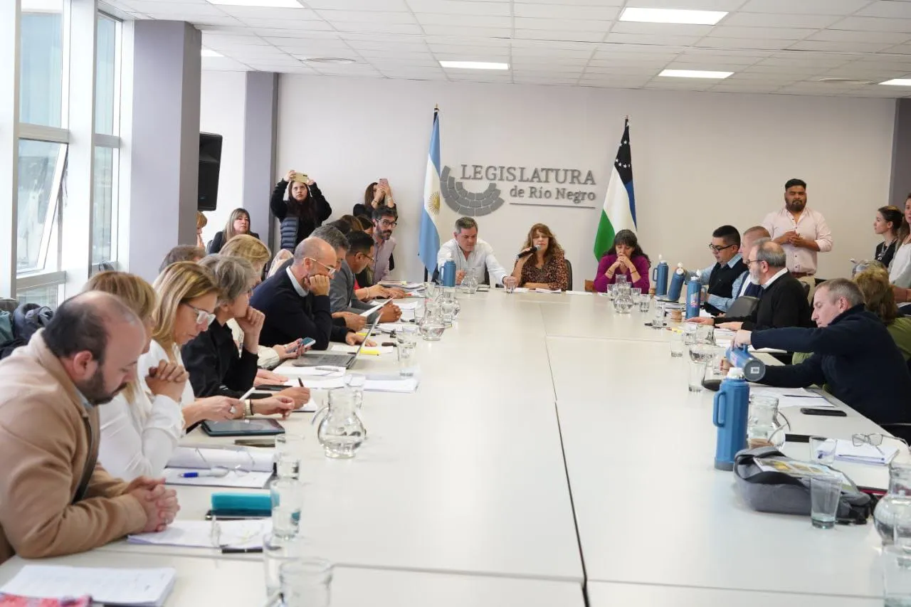 COMISION DE LA LEGISLATURA