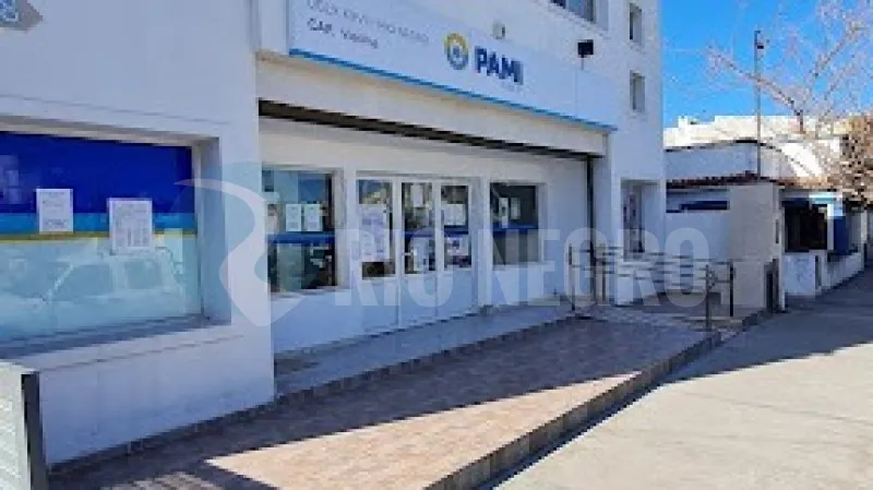 pami viedma
