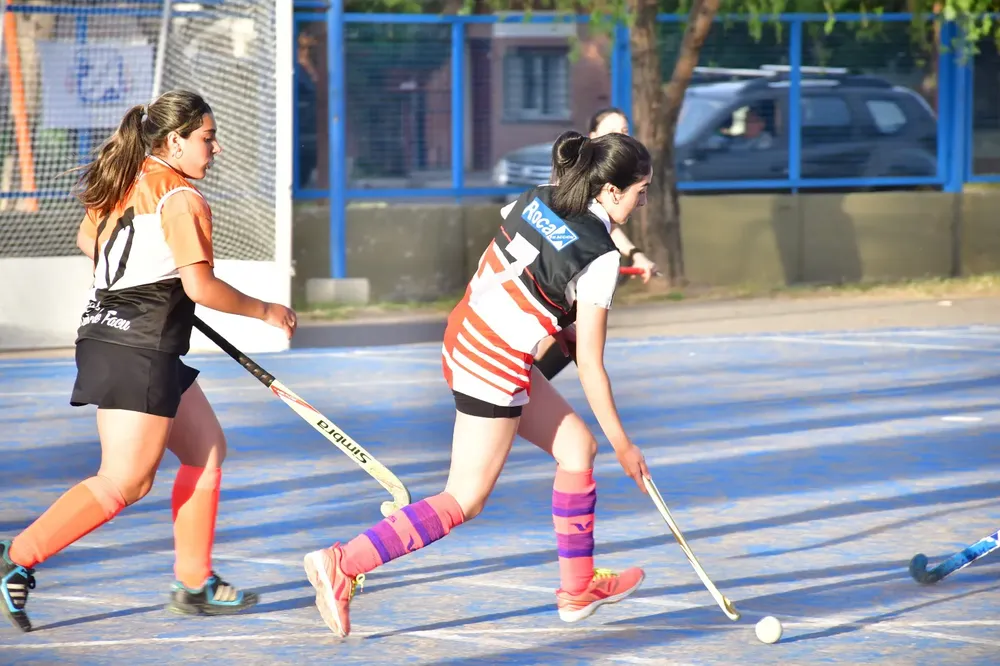 LIGAS DEPORTIVAS