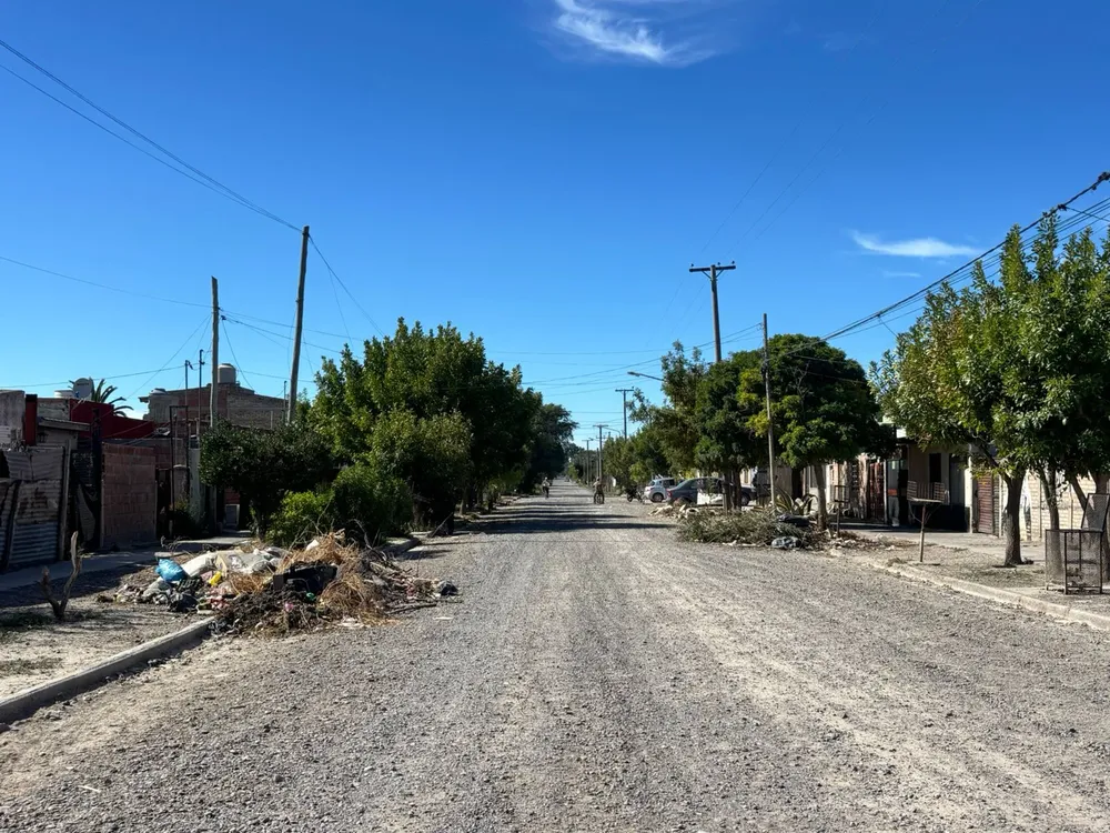 VIEDMA MICROBASURALES