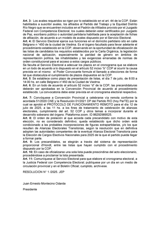 CONVOCATORIA A ELECCIONES INTERNAS cargos nacionales 2025 final_2