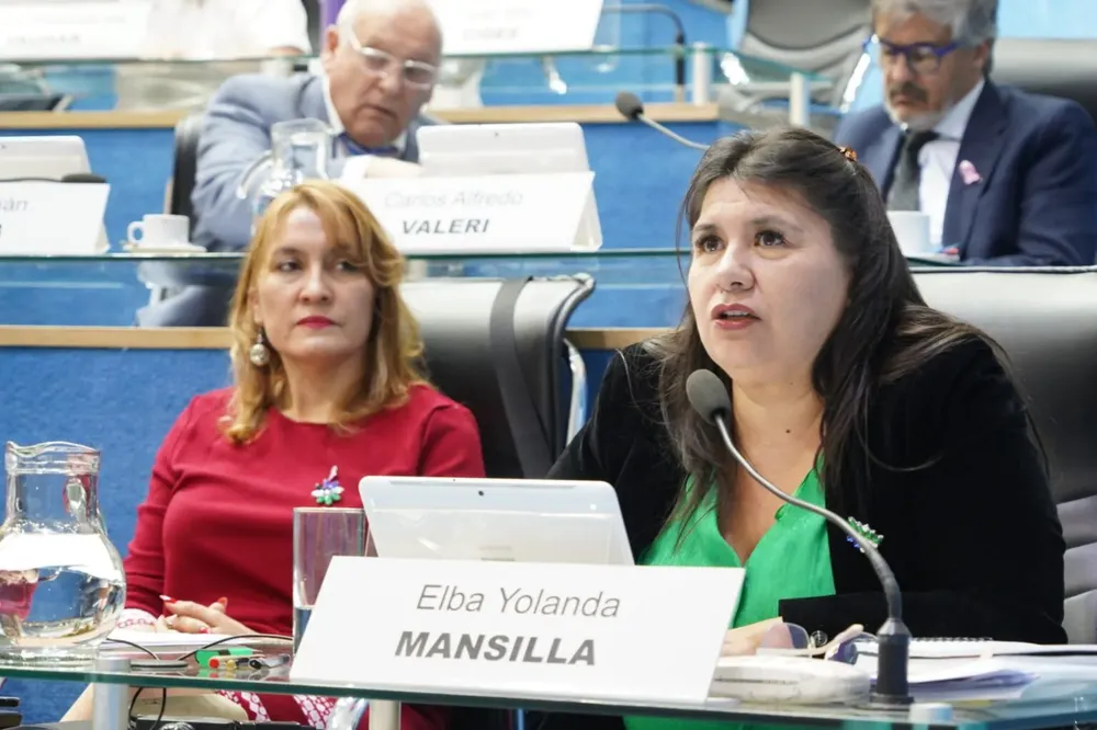 YOLANDA MANSILLA