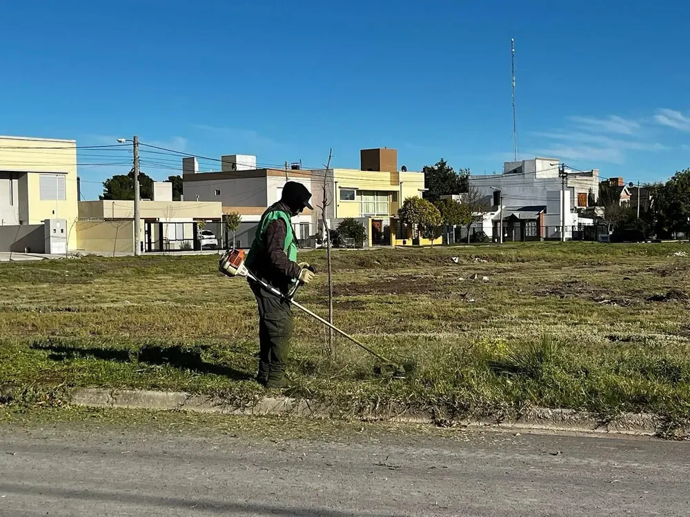 Viedma limpia en comunidad
