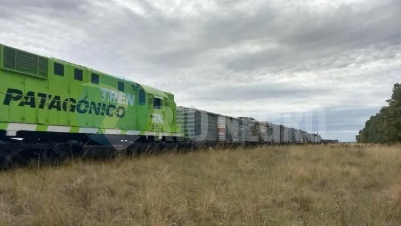 tren patagonico CARGA