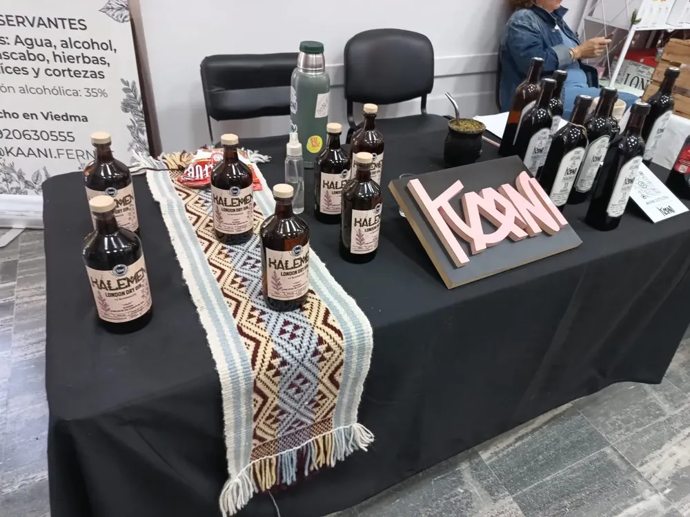 EXPO NAVIDAD LEGISLATURA