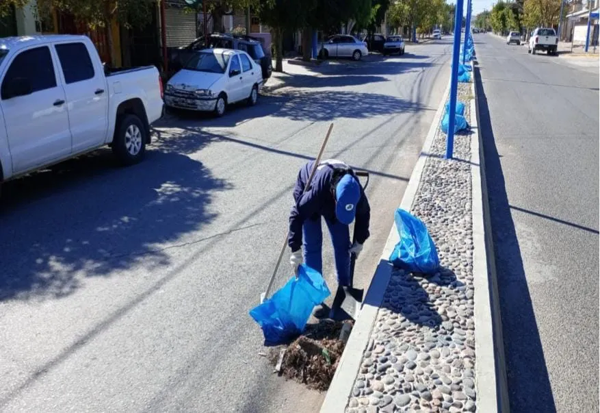 SERVICIOS PUBLICOS (11)
