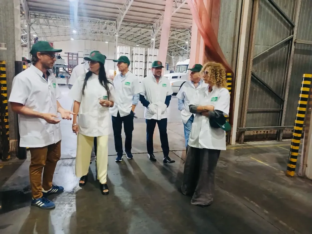 RADICALES CON PELUCA