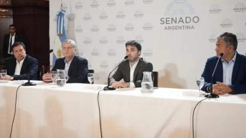 gobernadores patagonicos