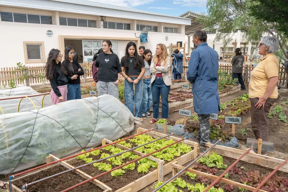 HUERTA ESCOLAR AGROECOLOGICA 1
