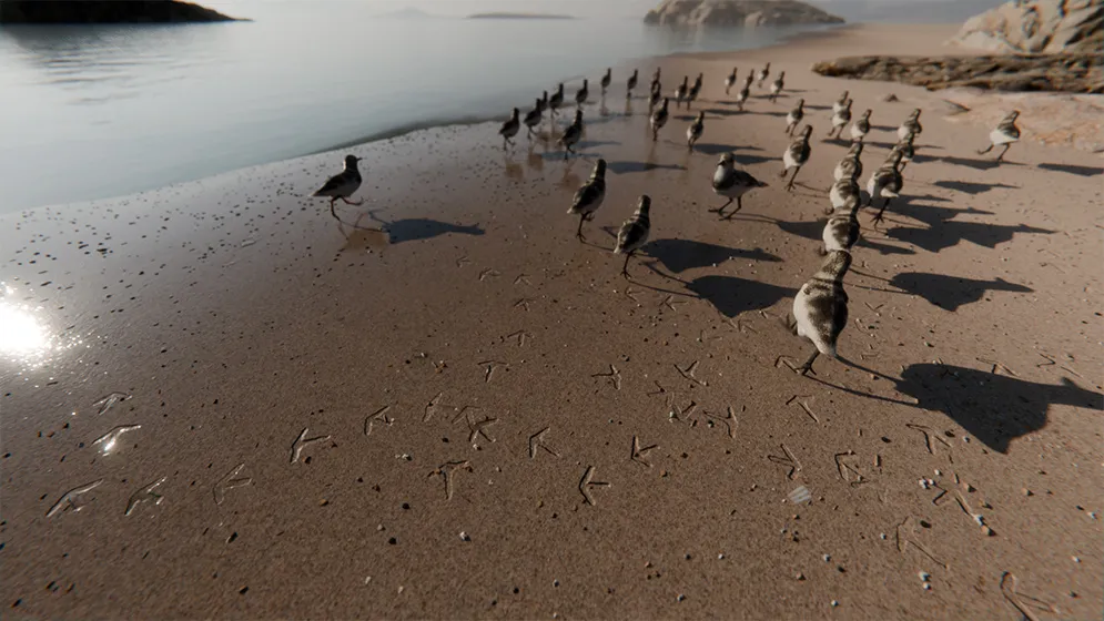 Huellas-Jacobacci-01