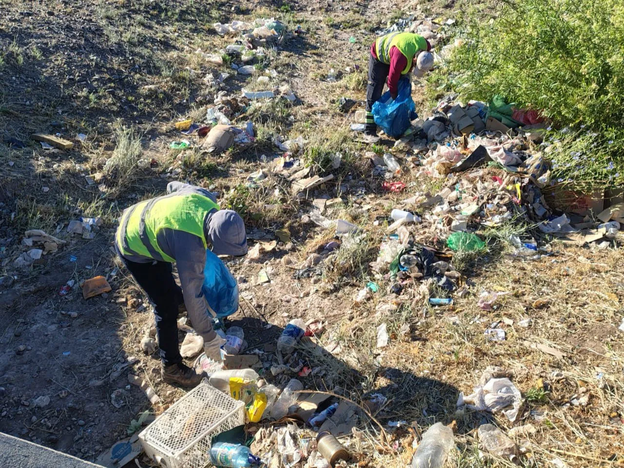 LIMPIEZA ACCESO NORTE