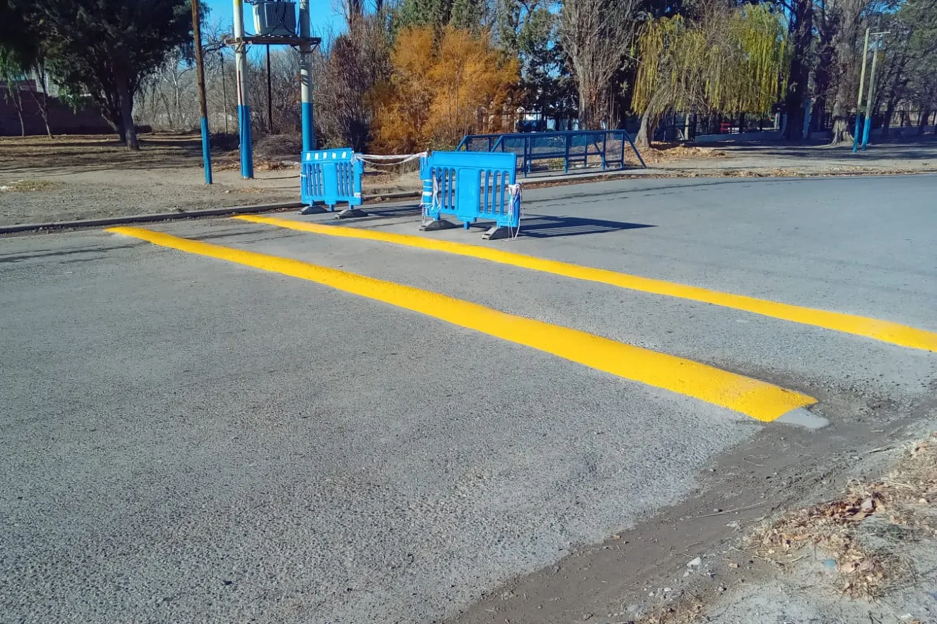 PINTURA CALZADA