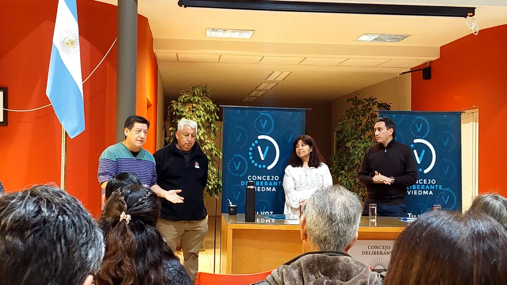 VIEDMA, CONCEJO DELIBERANTE, CEMENTOS DEL VALLE