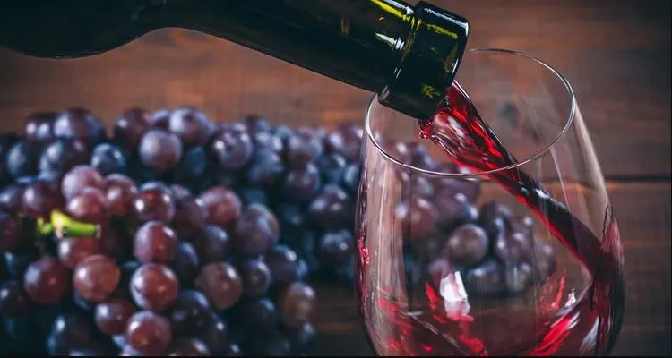 VINO-TINTO