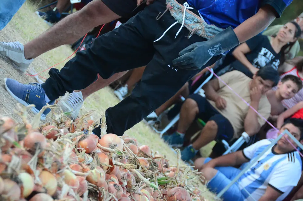 concurso de Descolado de cebolla, san javier