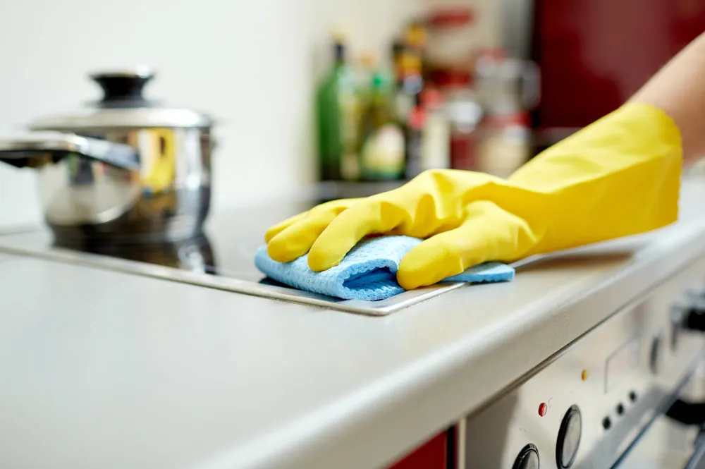empleada domestica