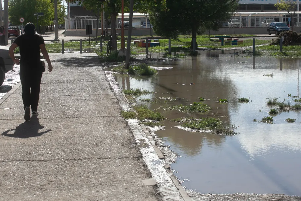 1da9a1ea-8631-4c66-aacc-b4199c5b64e0