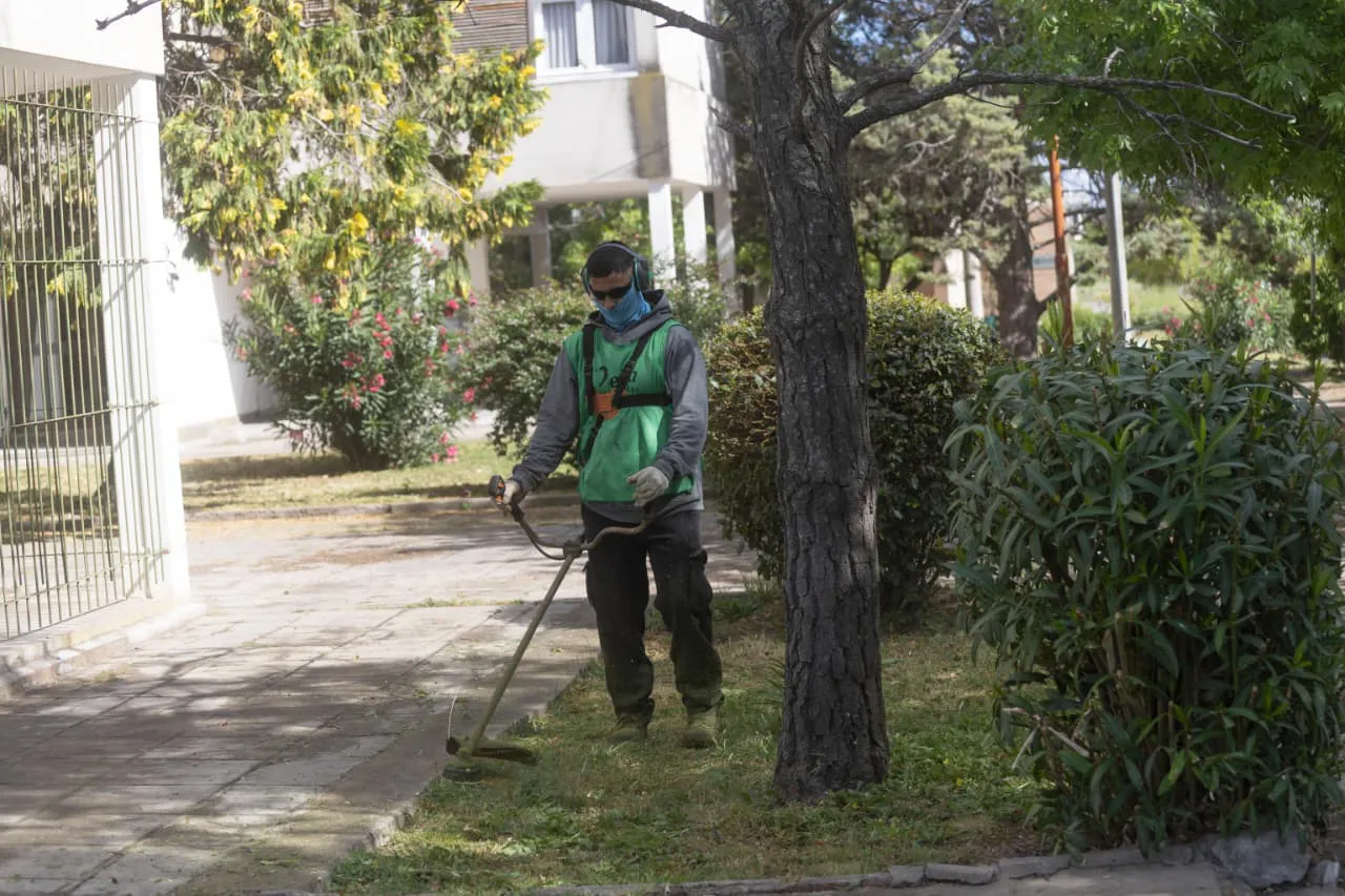 Viedma Limpia en Comunidad