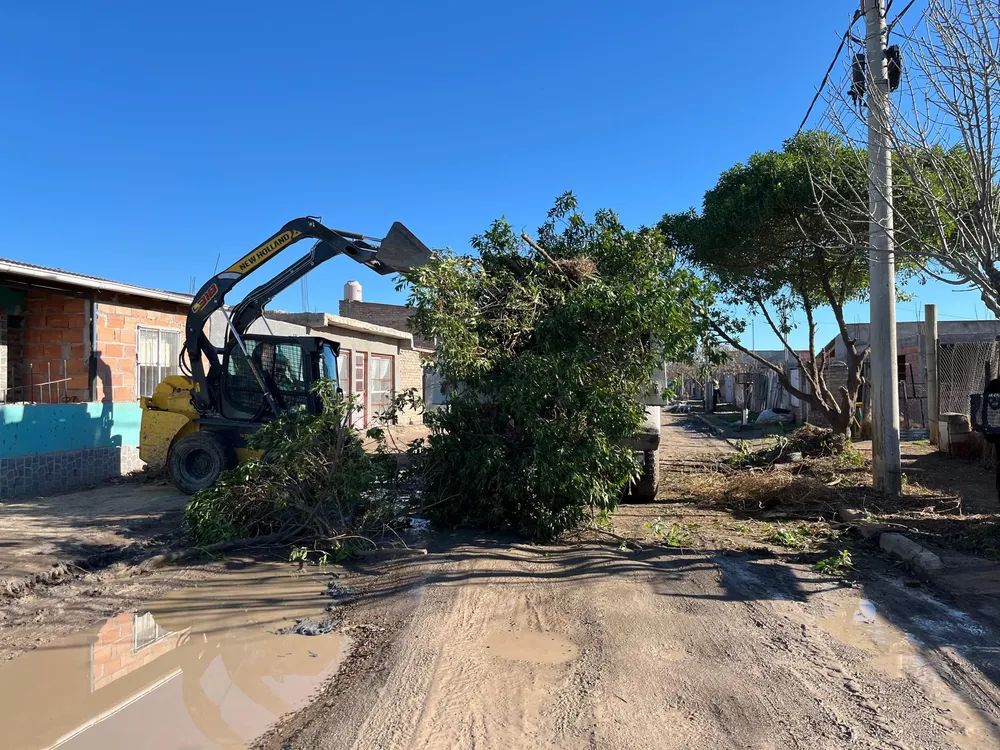 VIEDMA LIMPIA CON LA COMUNIDAD