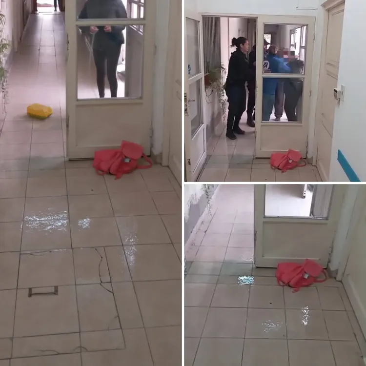 DELEGADA GREMIAL ARROJO NAFTA