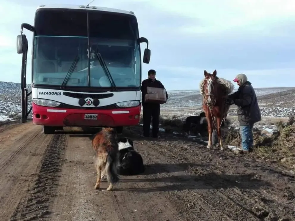REGION SUR, COLECTIVO