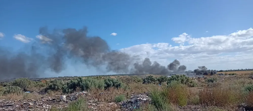 VIEDMA, MICRO BASURAL