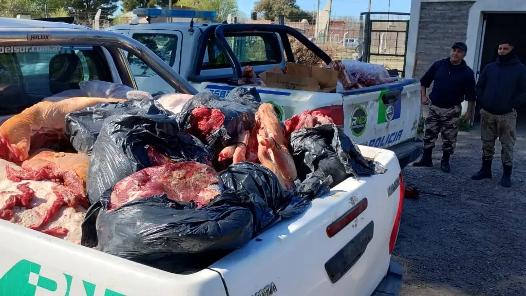 DECOMISO EN CARNICERIAS DE SAN JAVIER
