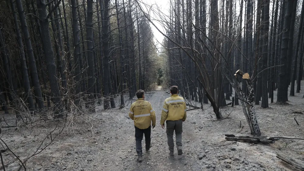 EL BOLSON, INCENDIOS