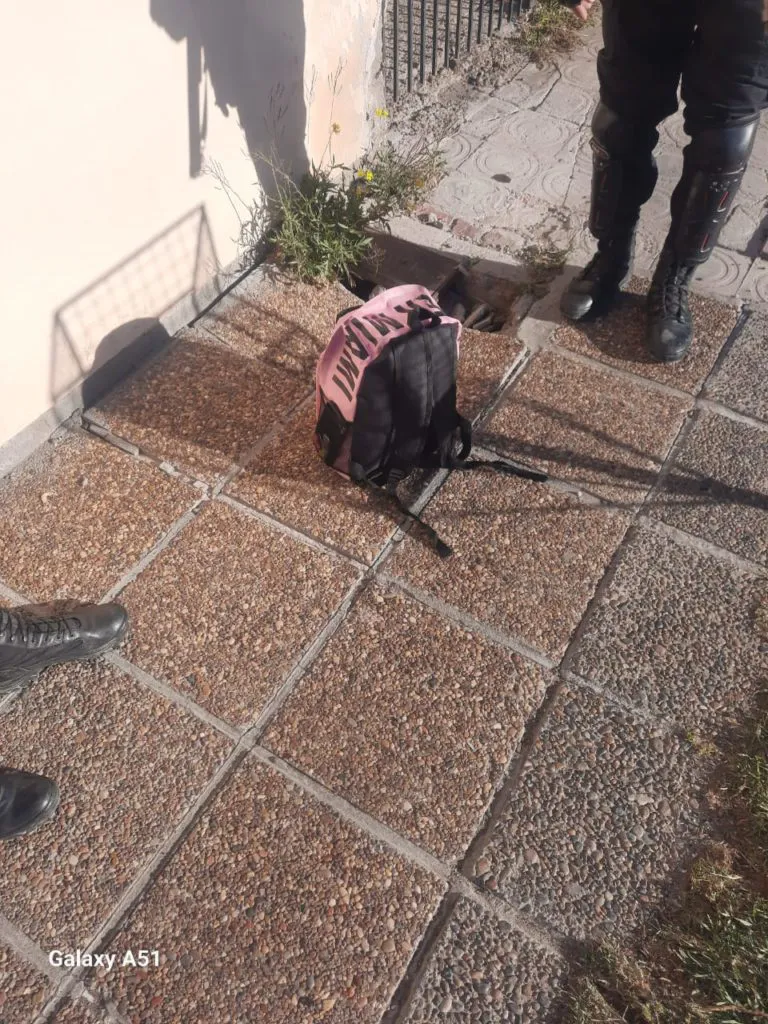 ROBO DE UNA MOCHILA EN VIEDMA